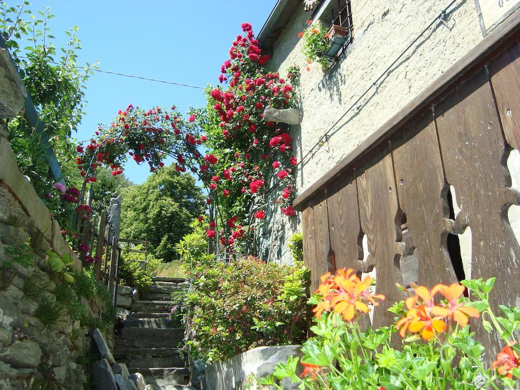 La Quana